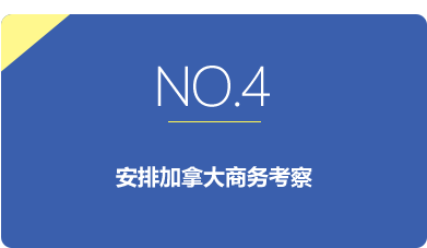 PACIFIC PLUS | 太加海外
